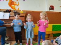 Czytaj więcej: Galeria - Pszczółek