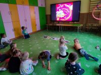 Czytaj więcej: Galeria - Pszczółek