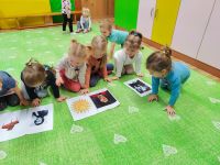 Czytaj więcej: Galeria - Pszczółek