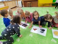 Czytaj więcej: Galeria - Pszczółek