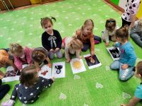 Czytaj więcej: Galeria - Pszczółek