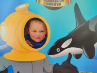 Czytaj więcej: Galeria - Pszczółek