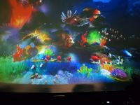 Czytaj więcej: Galeria - Pszczółek