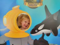 Czytaj więcej: Galeria - Pszczółek