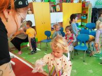 Czytaj więcej: Galeria - Pszczółek