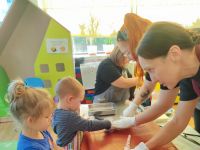 Czytaj więcej: Galeria - Pszczółek