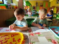 Czytaj więcej: Galeria - Pszczółek