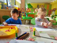 Czytaj więcej: Galeria - Pszczółek