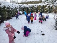 Czytaj więcej: Galeria - Pszczółek