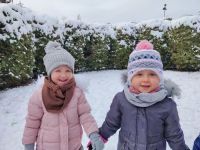 Czytaj więcej: Galeria - Pszczółek