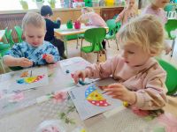 Czytaj więcej: Galeria - Pszczółek