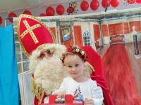 Czytaj więcej: Galeria - Pszczółek