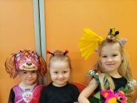 Czytaj więcej: Galeria - Pszczółek