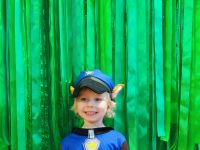 Czytaj więcej: Galeria - Pszczółek