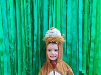 Czytaj więcej: Galeria - Pszczółek