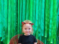 Czytaj więcej: Galeria - Pszczółek