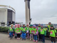 Czytaj więcej: Galeria - Pszczółek