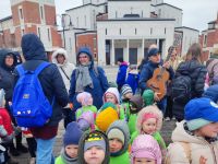 Czytaj więcej: Galeria - Pszczółek