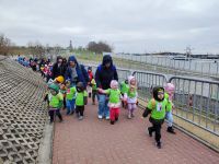 Czytaj więcej: Galeria - Pszczółek