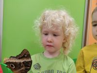 Czytaj więcej: Galeria - Pszczółek