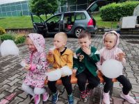 Czytaj więcej: Galeria - Pszczółek