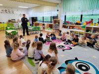 Czytaj więcej: Galeria - Pszczółek