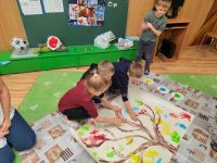Czytaj więcej: Wiewiórkowa galeria