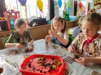 Czytaj więcej: Wiewiórkowa galeria