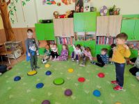 Czytaj więcej: Wiewiórkowa galeria