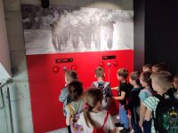 Czytaj więcej: Wiewiórkowa galeria
