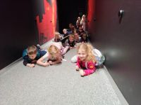Czytaj więcej: Wiewiórkowa galeria