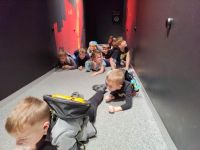 Czytaj więcej: Wiewiórkowa galeria