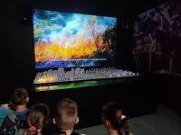 Czytaj więcej: Wiewiórkowa galeria