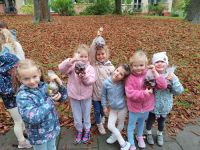 Czytaj więcej: Wiewiórkowa galeria