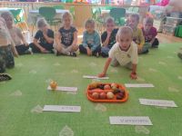 Czytaj więcej: Wiewiórkowa galeria