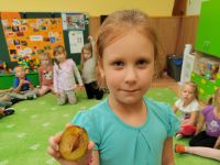 Czytaj więcej: Wiewiórkowa galeria