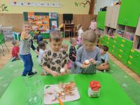 Czytaj więcej: Wiewiórkowa galeria
