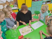 Czytaj więcej: Wiewiórkowa galeria