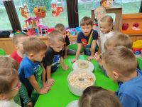 Czytaj więcej: Wiewiórkowa galeria