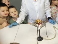 Czytaj więcej: Wiewiórkowa galeria