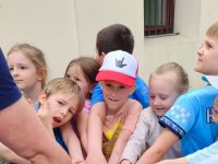 Czytaj więcej: Wiewiórkowa galeria